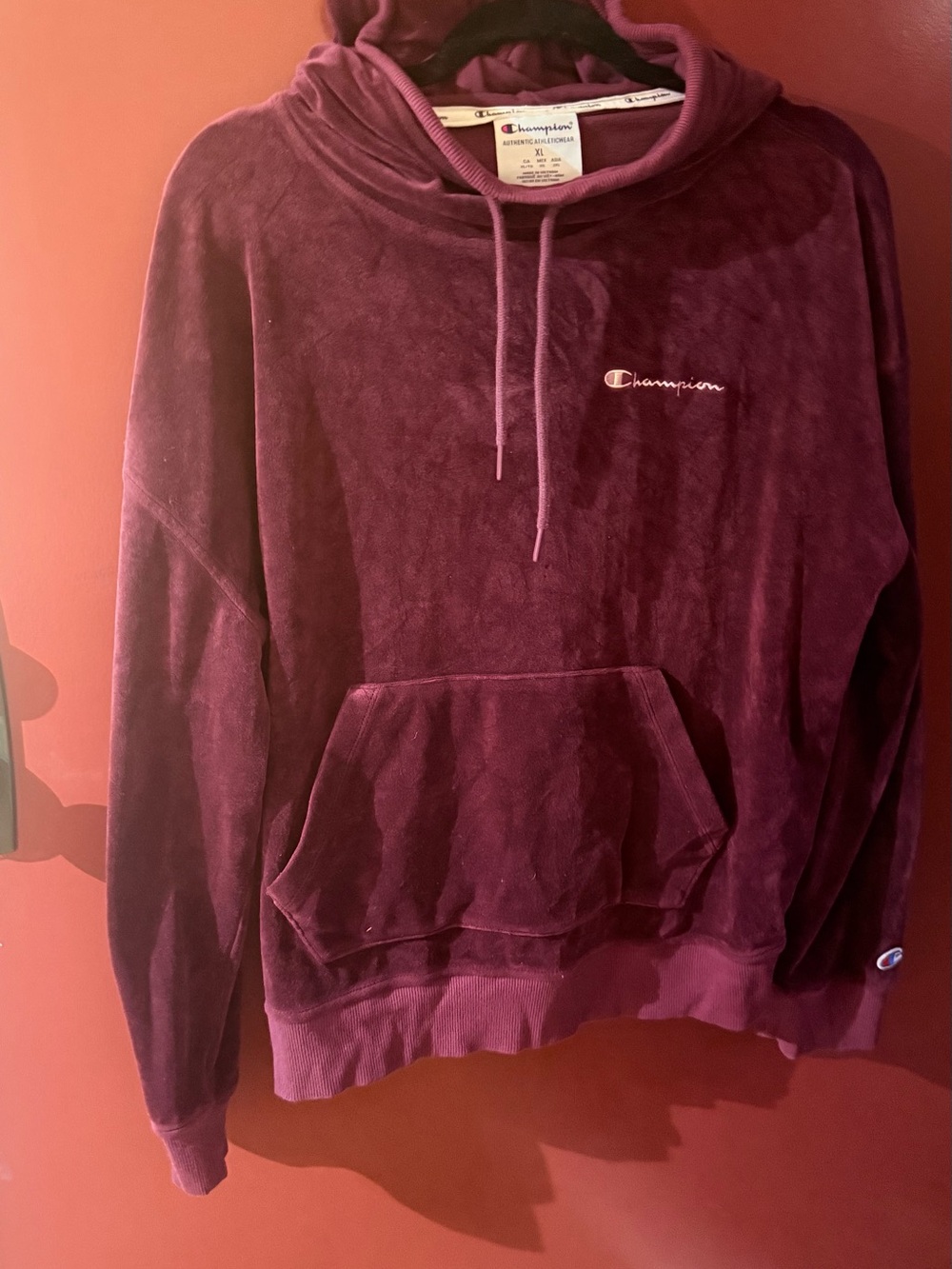 Champion Men's Crewneck Plush Hoodie - Plum